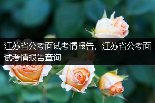江苏省公考面试考情报告，江苏省公考面试考情报告查询