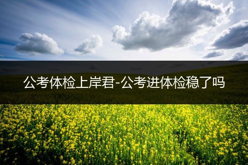 公考体检上岸君-公考进体检稳了吗