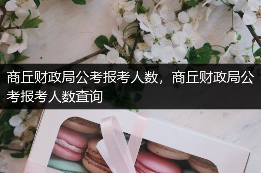 商丘财政局公考报考人数，商丘财政局公考报考人数查询