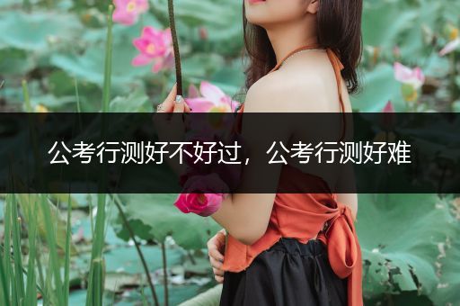 公考行测好不好过，公考行测好难