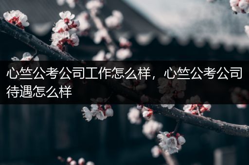 心竺公考公司工作怎么样，心竺公考公司待遇怎么样