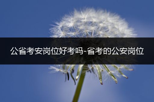 公省考安岗位好考吗-省考的公安岗位