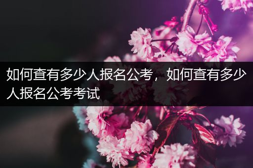 如何查有多少人报名公考，如何查有多少人报名公考考试