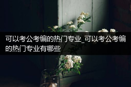 可以考公考编的热门专业_可以考公考编的热门专业有哪些