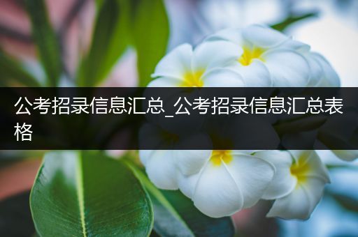 公考招录信息汇总_公考招录信息汇总表格