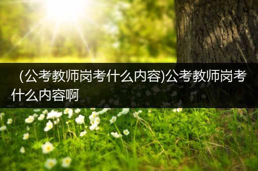 （公考教师岗考什么内容)公考教师岗考什么内容啊
