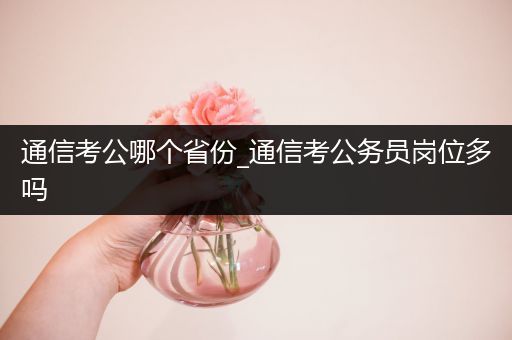 通信考公哪个省份_通信考公务员岗位多吗