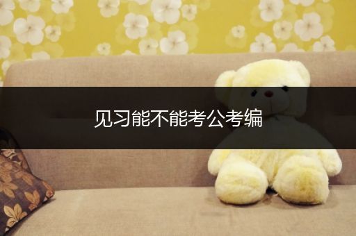 见习能不能考公考编