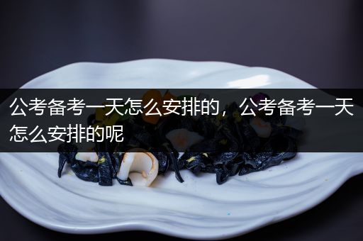 公考备考一天怎么安排的，公考备考一天怎么安排的呢