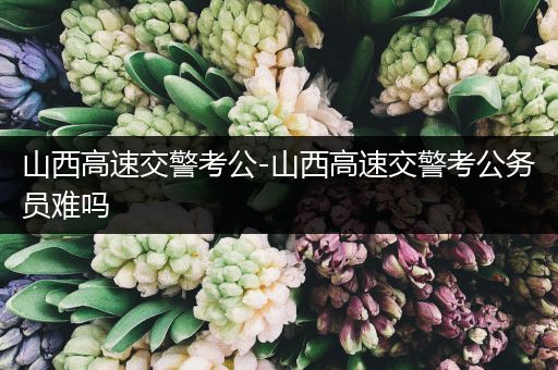 山西高速交警考公-山西高速交警考公务员难吗