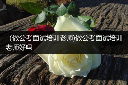 （做公考面试培训老师)做公考面试培训老师好吗