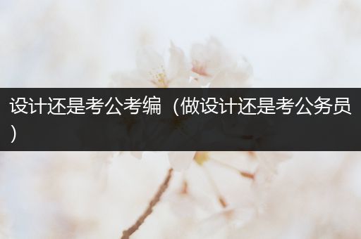 设计还是考公考编（做设计还是考公务员）