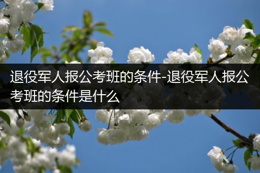 退役军人报公考班的条件-退役军人报公考班的条件是什么