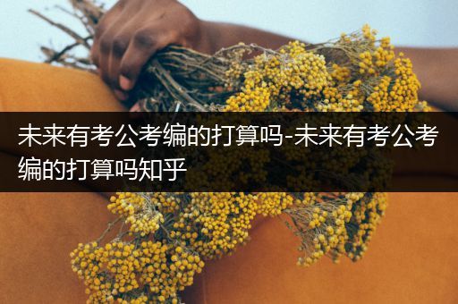 未来有考公考编的打算吗-未来有考公考编的打算吗知乎