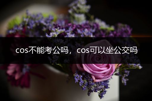 cos不能考公吗，cos可以坐公交吗