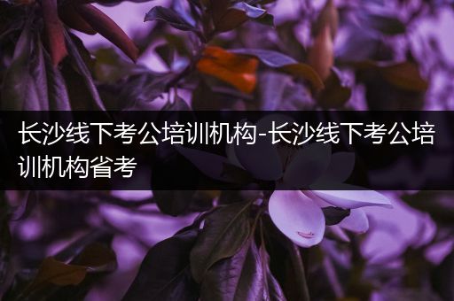 长沙线下考公培训机构-长沙线下考公培训机构省考