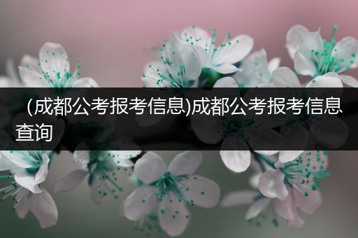 （成都公考报考信息)成都公考报考信息查询