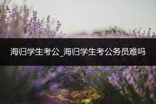 海归学生考公_海归学生考公务员难吗