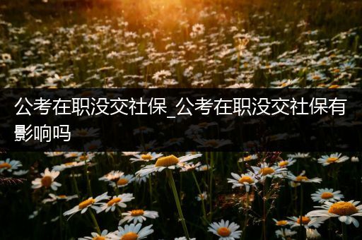 公考在职没交社保_公考在职没交社保有影响吗