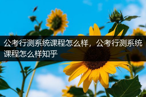 公考行测系统课程怎么样，公考行测系统课程怎么样知乎