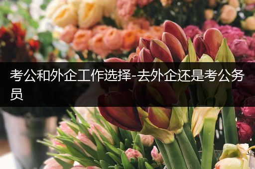考公和外企工作选择-去外企还是考公务员