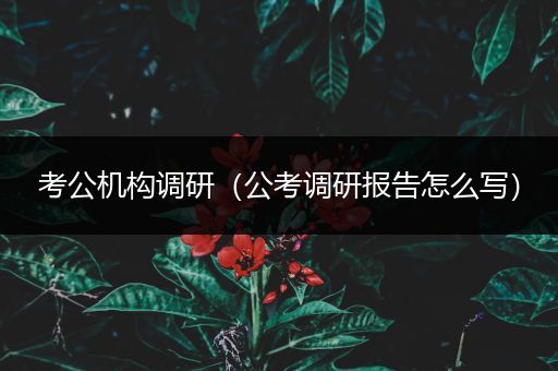 考公机构调研（公考调研报告怎么写）
