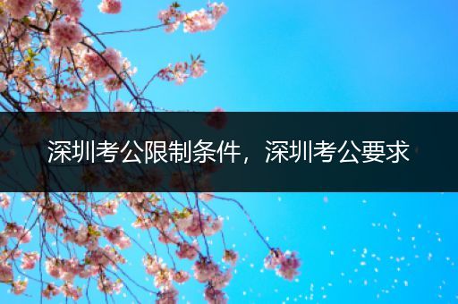 深圳考公限制条件，深圳考公要求