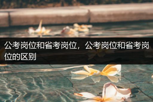 公考岗位和省考岗位，公考岗位和省考岗位的区别