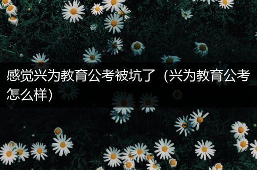 感觉兴为教育公考被坑了（兴为教育公考怎么样）