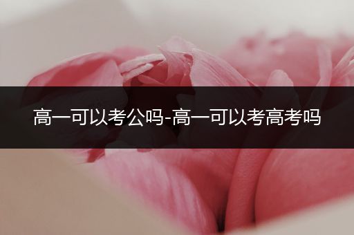 高一可以考公吗-高一可以考高考吗