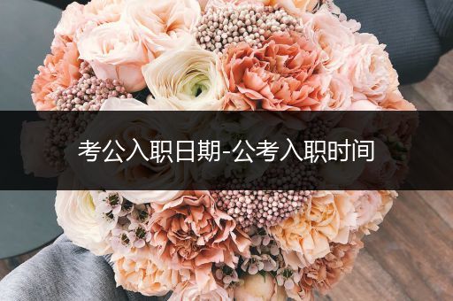 考公入职日期-公考入职时间