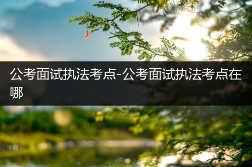 公考面试执法考点-公考面试执法考点在哪