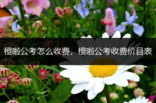 橙啦公考怎么收费，橙啦公考收费价目表