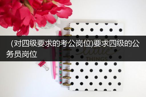 （对四级要求的考公岗位)要求四级的公务员岗位
