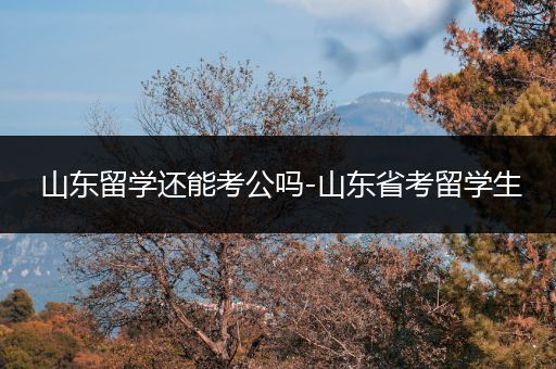山东留学还能考公吗-山东省考留学生