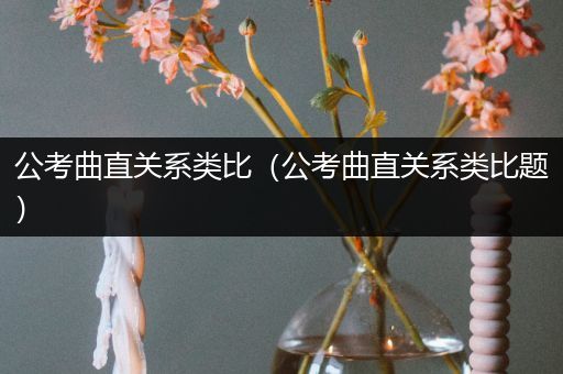 公考曲直关系类比（公考曲直关系类比题）