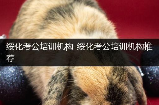 绥化考公培训机构-绥化考公培训机构推荐