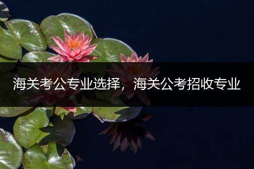 海关考公专业选择，海关公考招收专业