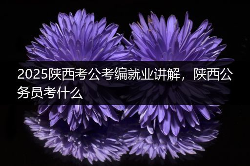2025陕西考公考编就业讲解，陕西公务员考什么
