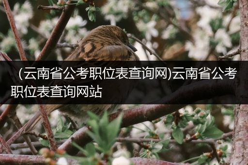 （云南省公考职位表查询网)云南省公考职位表查询网站
