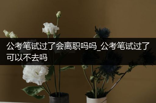 公考笔试过了会离职吗吗_公考笔试过了可以不去吗