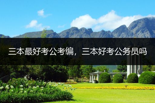 三本最好考公考编，三本好考公务员吗