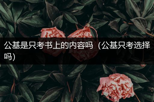 公基是只考书上的内容吗（公基只考选择吗）