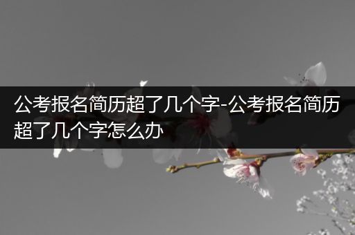 公考报名简历超了几个字-公考报名简历超了几个字怎么办