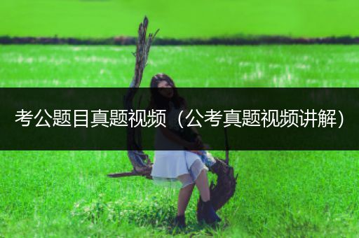 考公题目真题视频（公考真题视频讲解）