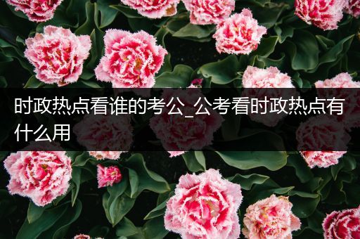 时政热点看谁的考公_公考看时政热点有什么用