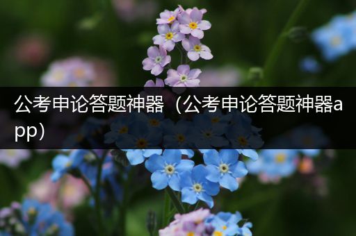 公考申论答题神器（公考申论答题神器app）