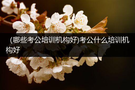 （哪些考公培训机构好)考公什么培训机构好