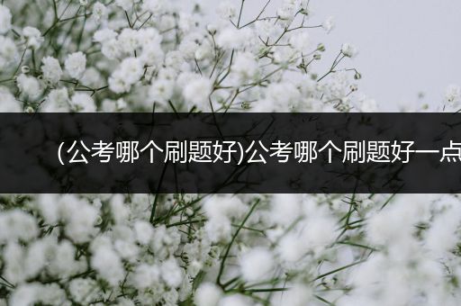 （公考哪个刷题好)公考哪个刷题好一点