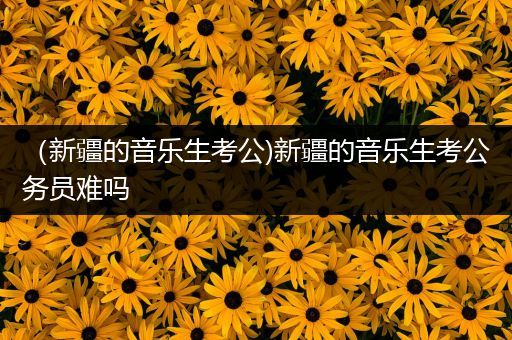（新疆的音乐生考公)新疆的音乐生考公务员难吗